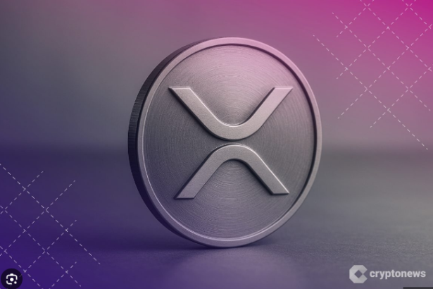 ripple ceo brad garlinghouse xrp tattoo story explained