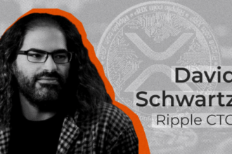 david schwartz xrp deflation